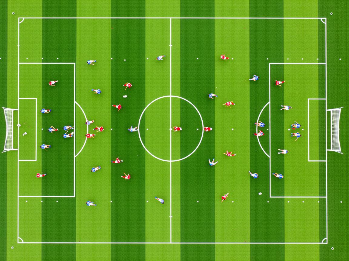 爱游戏官网app-中美蝶泳划频-配速回归图首次发布,蝶泳比赛2020 第2张